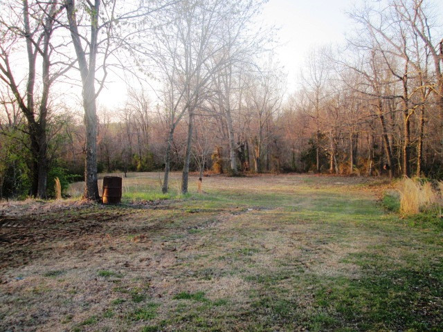 15541 State Highway AF, Dexter, MO 63841