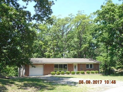 10451 County Rd 625, Dexter, MO 63841