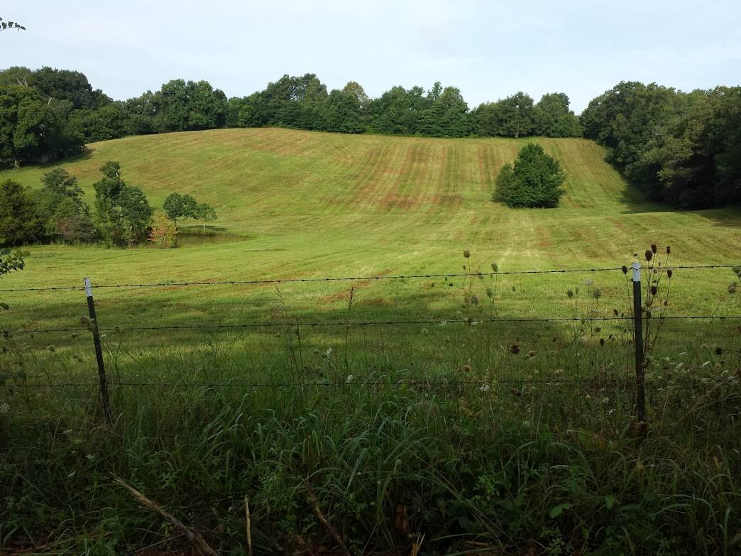 00 CR 543, Poplar Bluff, MO 63901