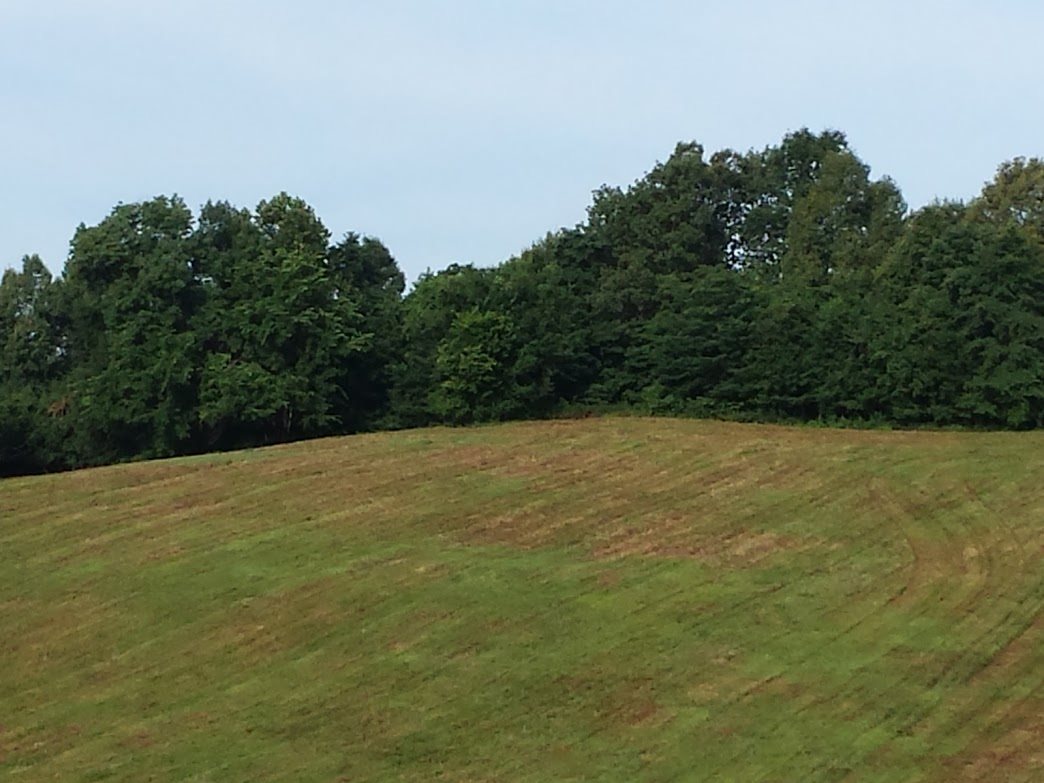00 CR 543, Poplar Bluff, MO 63901