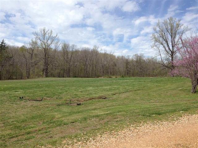 1121 CR 421, Poplar Bluff, MO 63901
