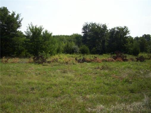 3rd St Dr Greaves Road, Grandview, MO 64030