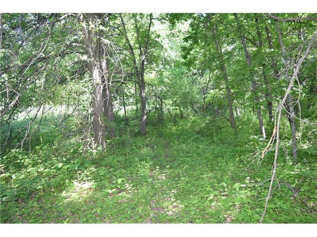 21803 NE 160th Street, Kearney, MO 64060
