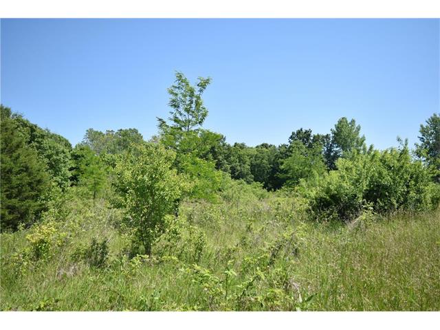 21803 NE 160th Street, Kearney, MO 64060