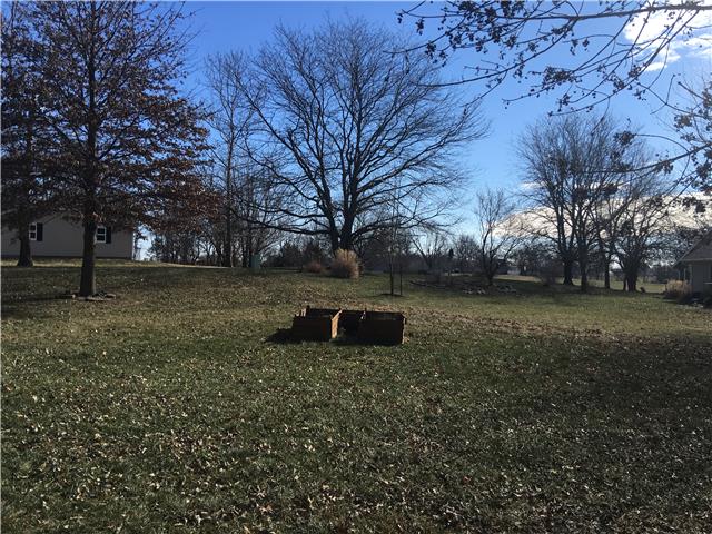 807 Blackberry Circle, Kearney, MO 64060