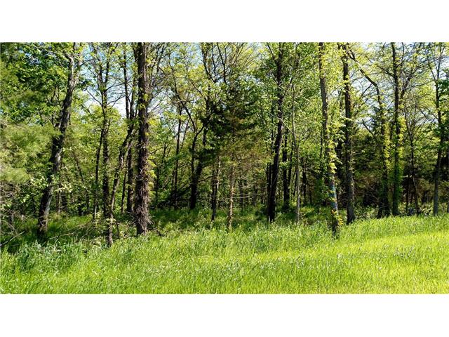 Lot #19 Smith&#039;s Mill Road, Smithville, MO 64089