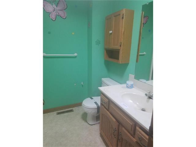 411 Creach Drive, Warrensburg, MO 64093