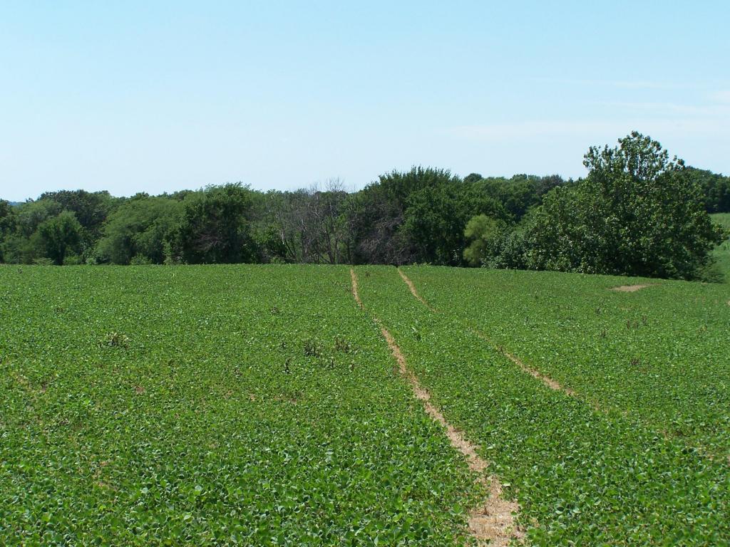 Hwy B, Edgerton, MO 64444