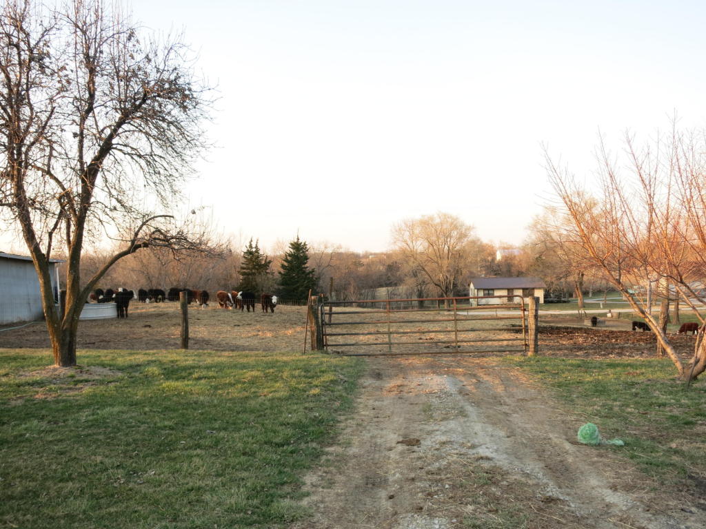 7581 SW Broadway St, Kingston, MO 64650