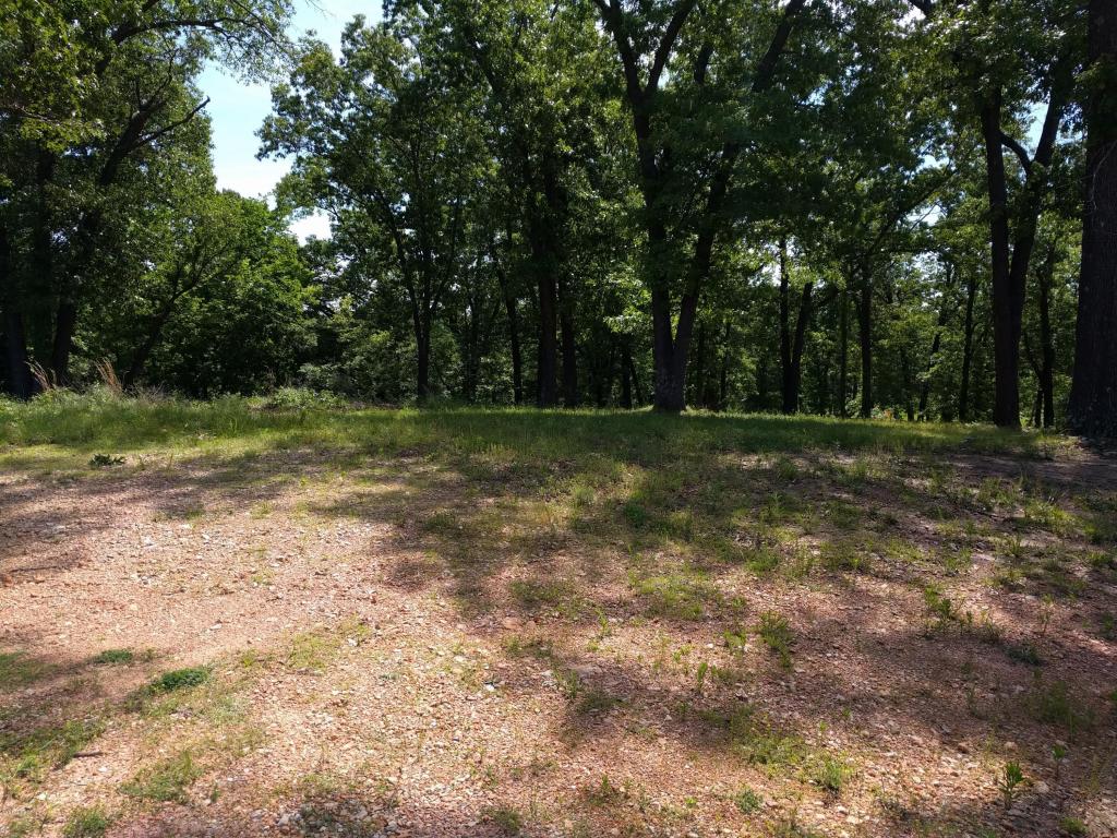 Lot 1C Eagle Valley Drive, Joplin, MO 64804