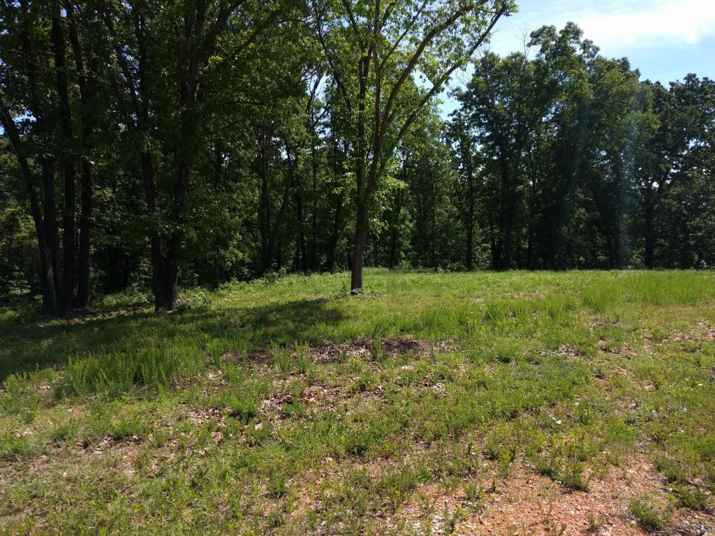 Lot 1C Eagle Valley Drive, Joplin, MO 64804