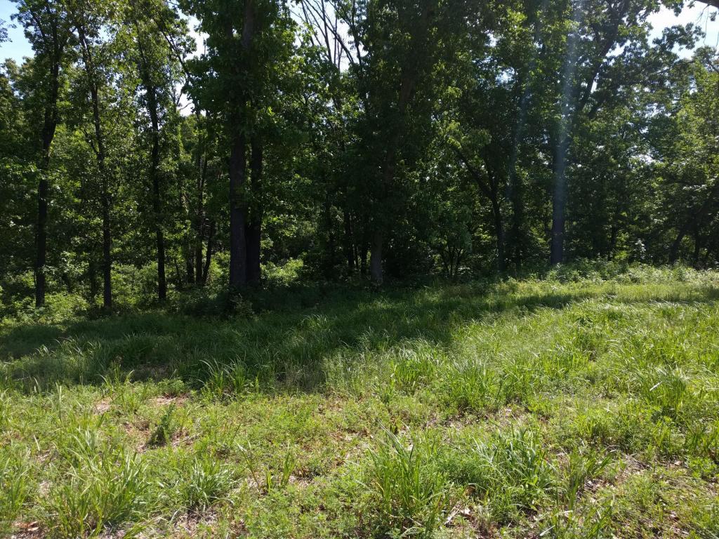 Lot 1C Eagle Valley Drive, Joplin, MO 64804