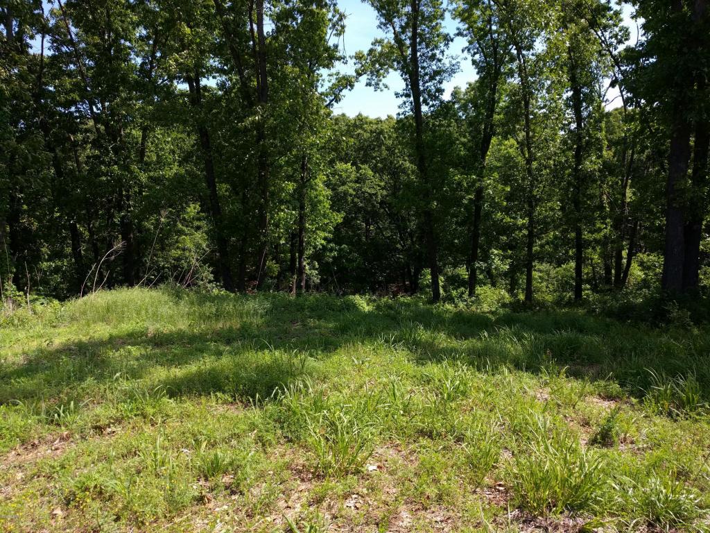 Lot 1C Eagle Valley Drive, Joplin, MO 64804