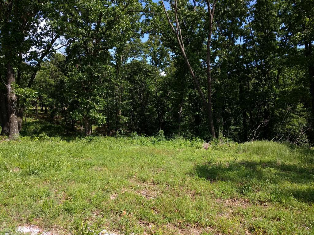 Lot 1C Eagle Valley Drive, Joplin, MO 64804
