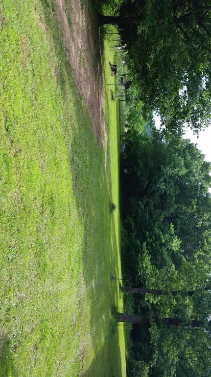 4213 Upper Mill Creek Road, Noel, MO 64854