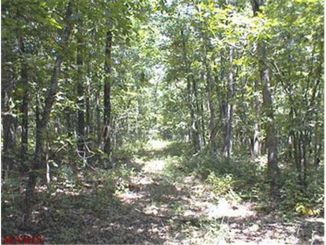 60 Blocks Branch Road, Owensville, MO 65066