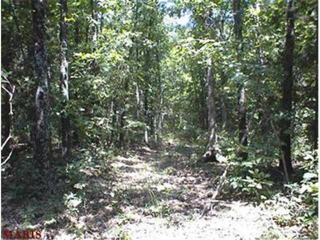 60 Blocks Branch Road, Owensville, MO 65066
