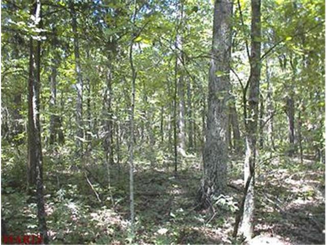 60 Blocks Branch Road, Owensville, MO 65066