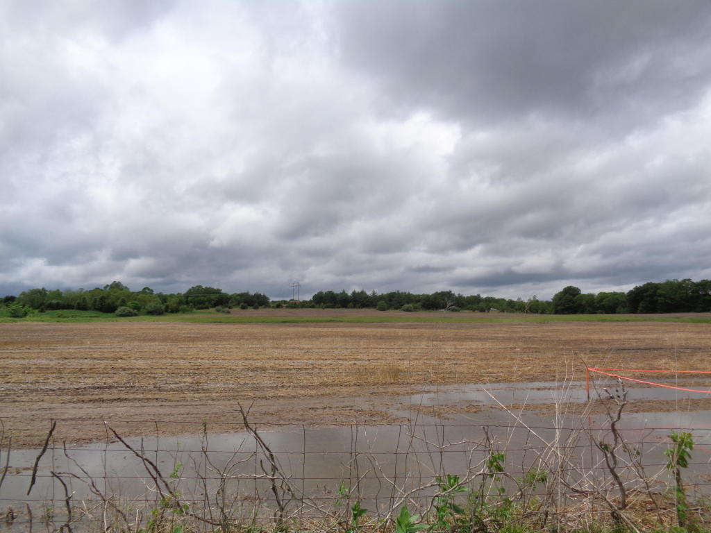 TRACT 2 N CREEKLAND DR, Columbia, MO 65202