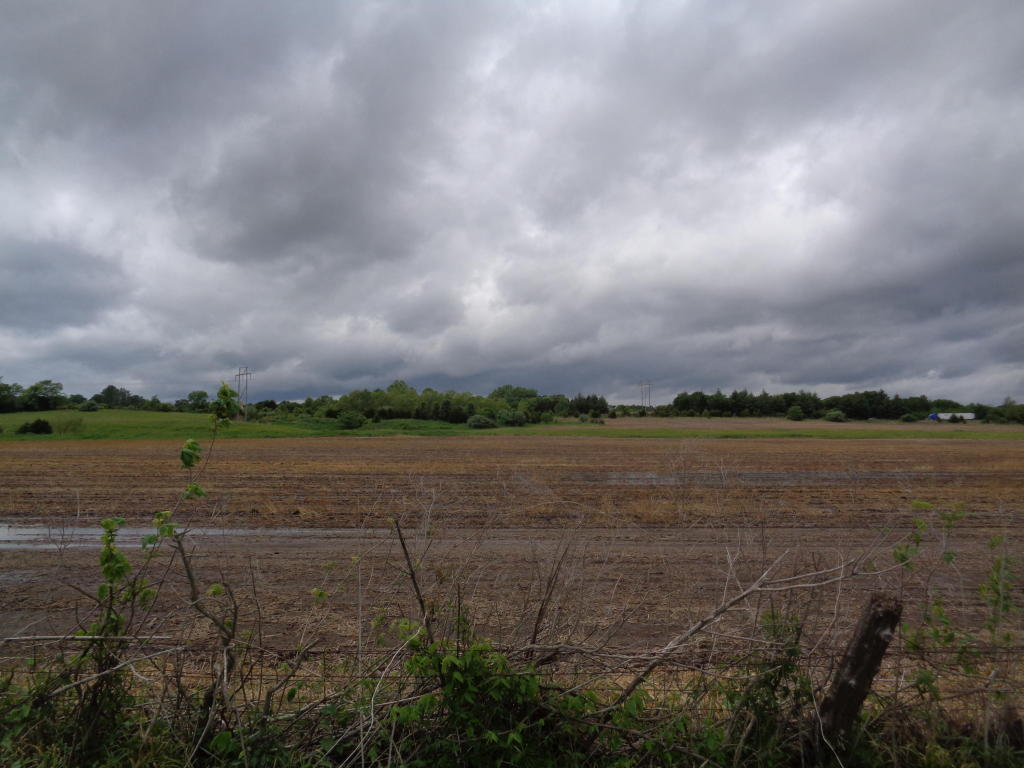 TRACT 3 N CREEKLAND RD, Columbia, MO 65202