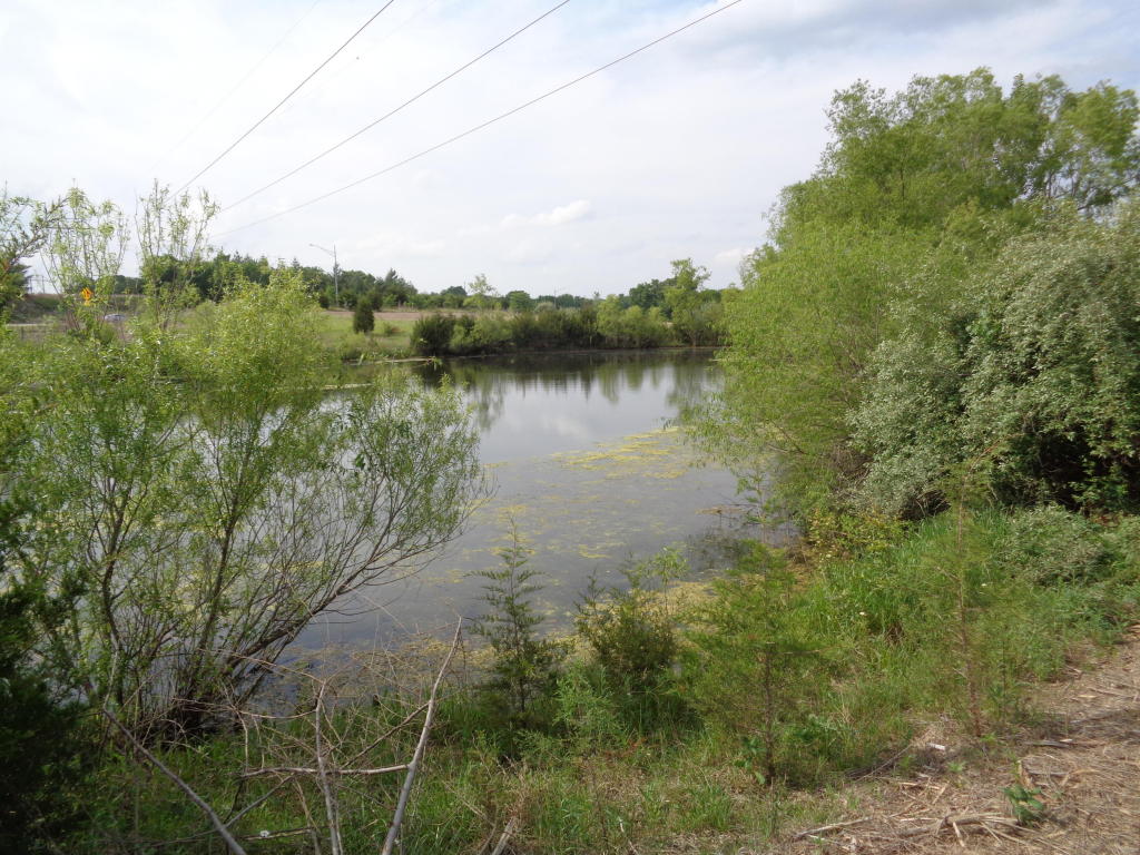 TRACT 1 N CREEKLAND DR, Columbia, MO 65202