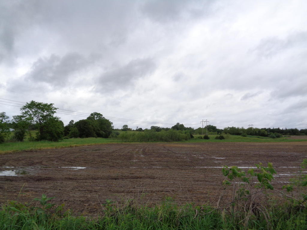 TRACT 1 N CREEKLAND DR, Columbia, MO 65202