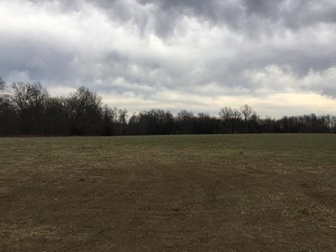 TRACT 3 E HWY 124, Hallsville, MO 65255