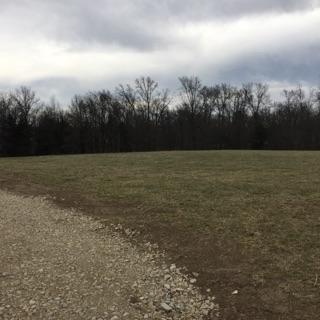 TRACT 3 E HWY 124, Hallsville, MO 65255