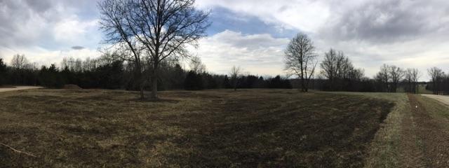 TRACT 3 E HWY 124, Hallsville, MO 65255