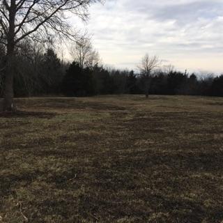 TRACT 3 E HWY 124, Hallsville, MO 65255