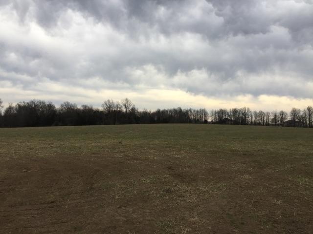 TRACT 5 E HWY 124, Hallsville, MO 65255