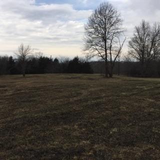 TRACT 5 E HWY 124, Hallsville, MO 65255
