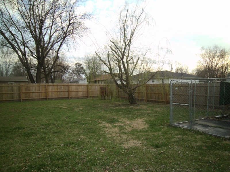 1219 Gray St, Mexico, MO 65265