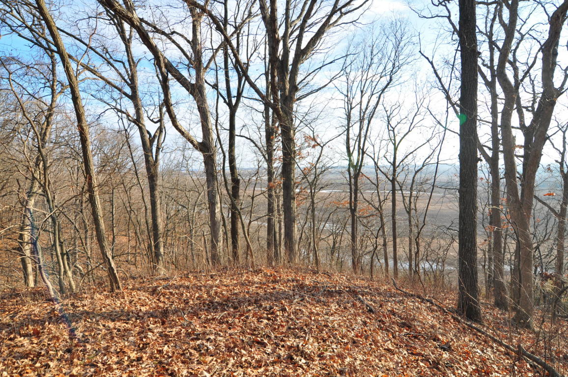 10.25 AC CR 437, New Franklin, MO 65274