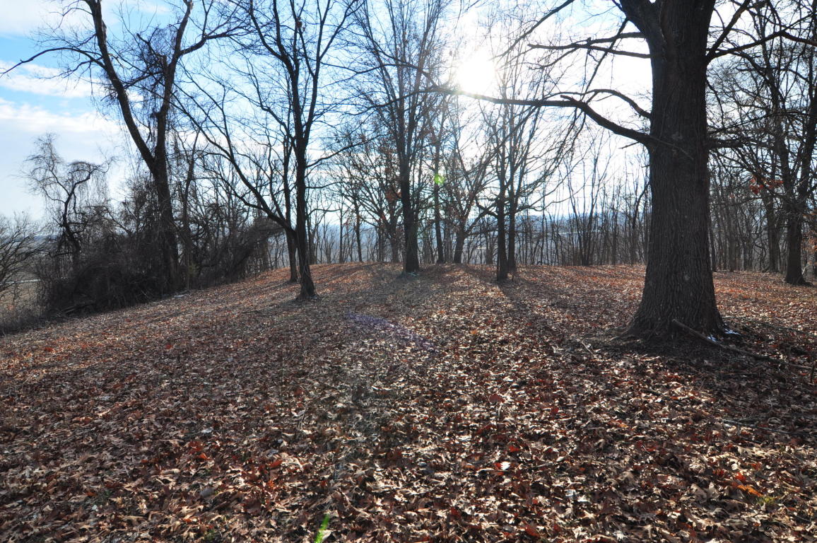 10.25 AC CR 437, New Franklin, MO 65274