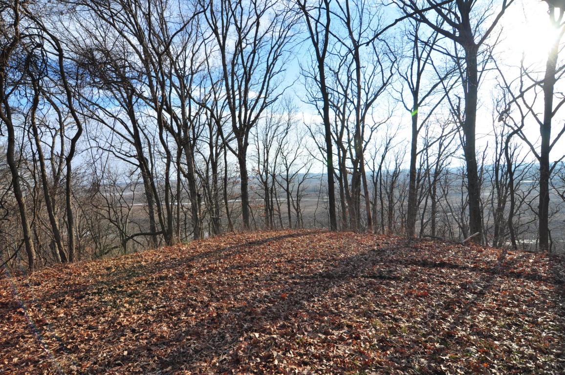 10.25 AC CR 437, New Franklin, MO 65274