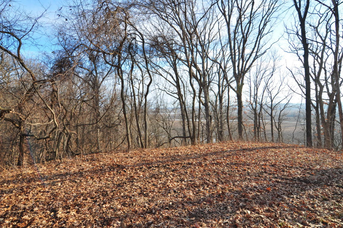 10.25 AC CR 437, New Franklin, MO 65274