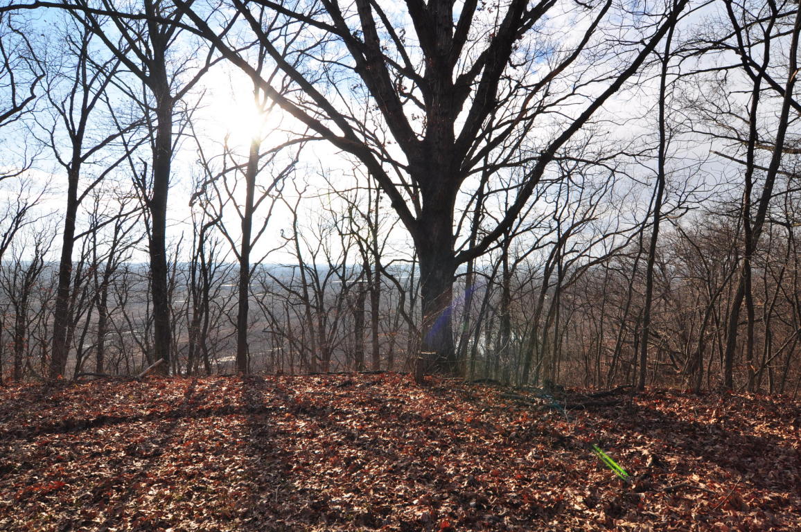 10.25 AC CR 437, New Franklin, MO 65274