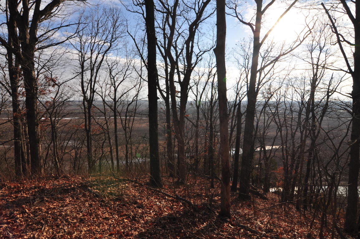 10.25 AC CR 437, New Franklin, MO 65274