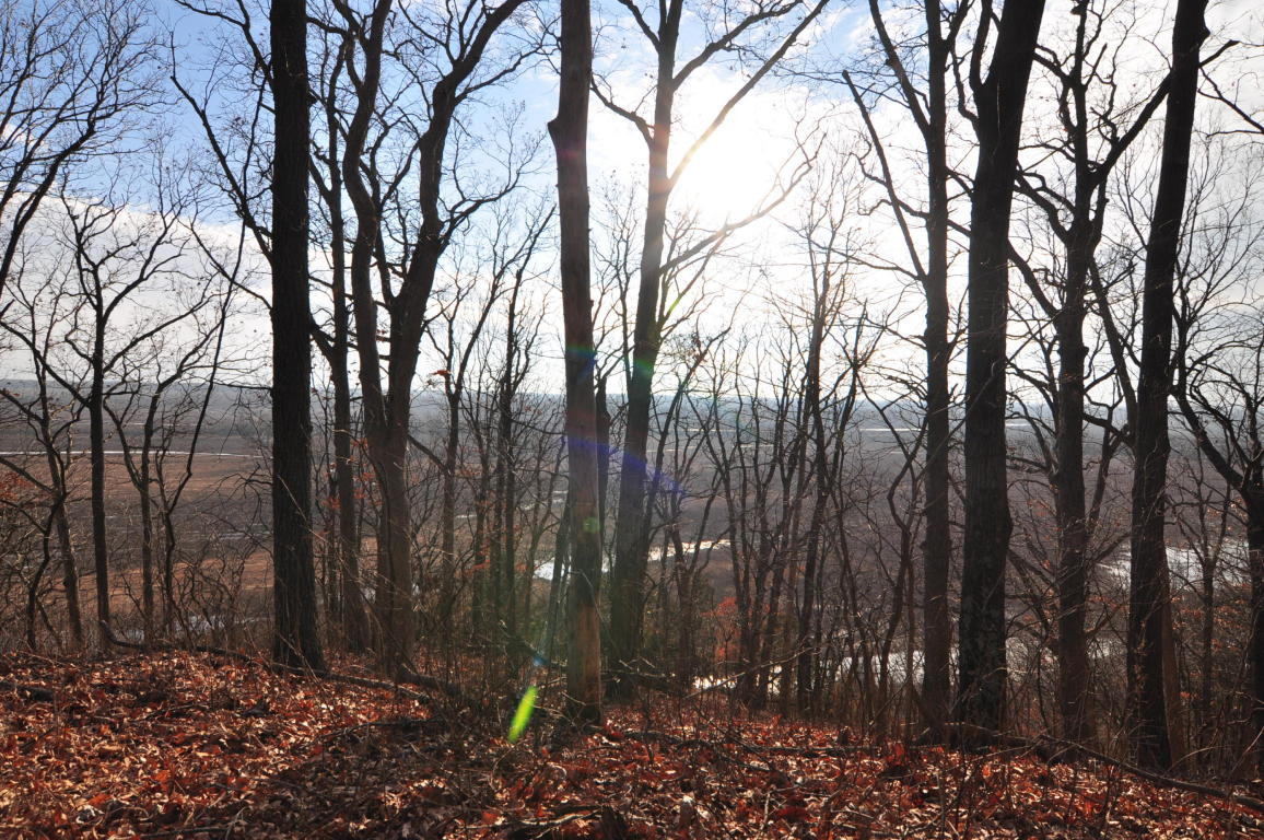 10.25 AC CR 437, New Franklin, MO 65274
