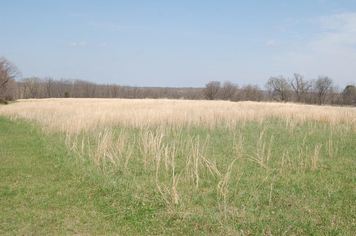E BREEDLOVE DR, Sturgeon, MO 65284