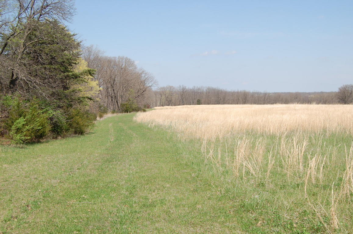 E BREEDLOVE DR, Sturgeon, MO 65284