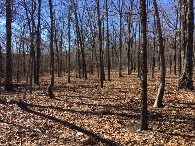 3951 Hwy 137, Elk Creek, MO 65464