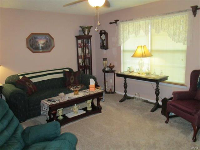 22361 Pack Horse Lane, Lebanon, MO 65536