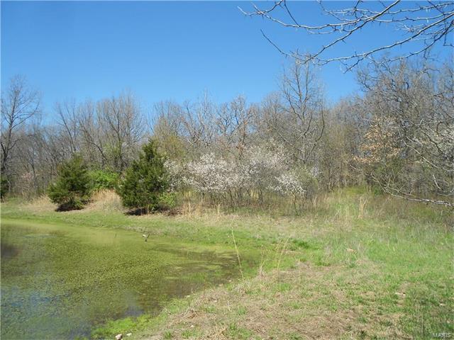 1401 Rolling Hills Road, Lebanon, MO 65536