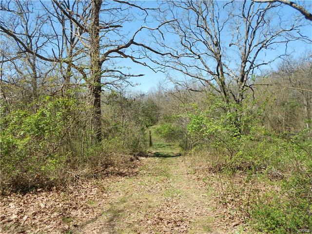 1401 Rolling Hills Road, Lebanon, MO 65536