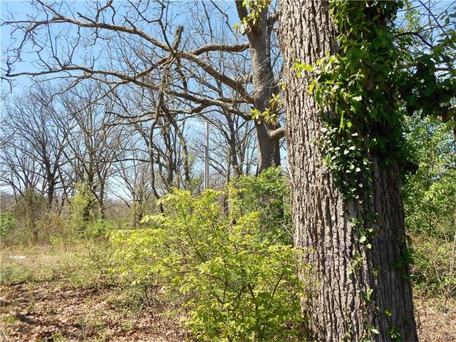 1401 Rolling Hills Road, Lebanon, MO 65536