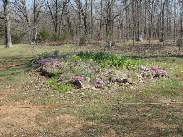 19676 Bean Creek Drive, Licking, MO 65542