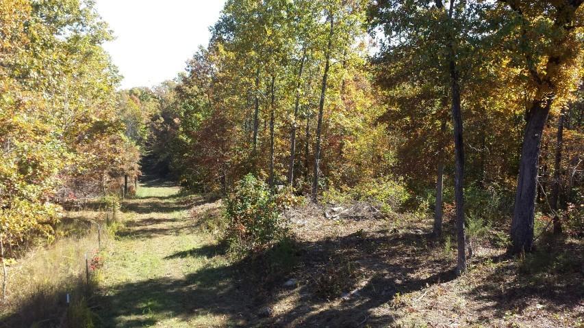 0 County Road 491, Mountain View, MO 65548