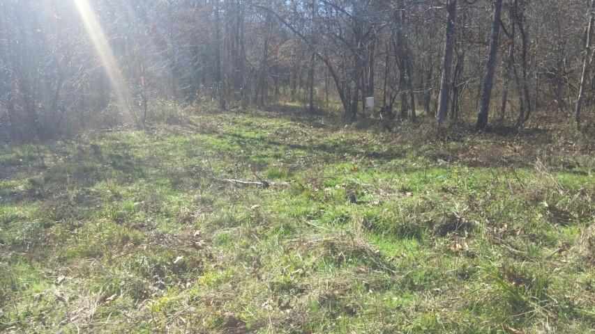 0 County Road 491, Mountain View, MO 65548